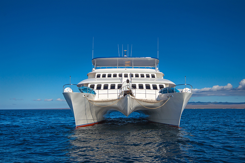 Tip Top - 8 Day Cruise North East Galapagos