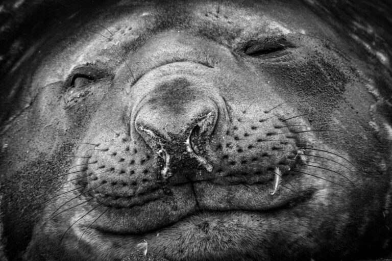 Peru vs Brazil vs Ecuador: Three Ways to Cruise the Amazon River