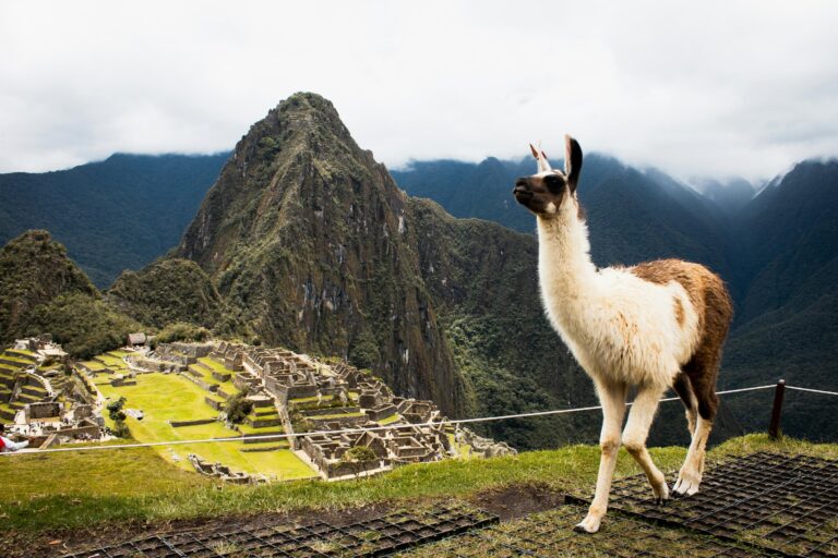 Machu Picchu Tickets Explained: Which Circuit Should You Choose?
